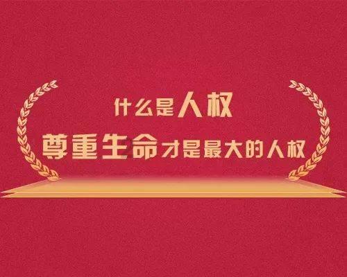 全市首例涉危害国家重点保护植物“金毛狗蕨”案宣判!