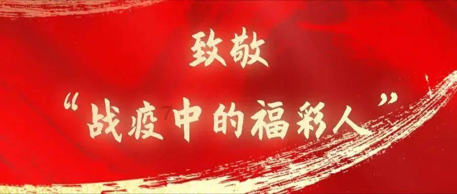 拯救受伤的猫